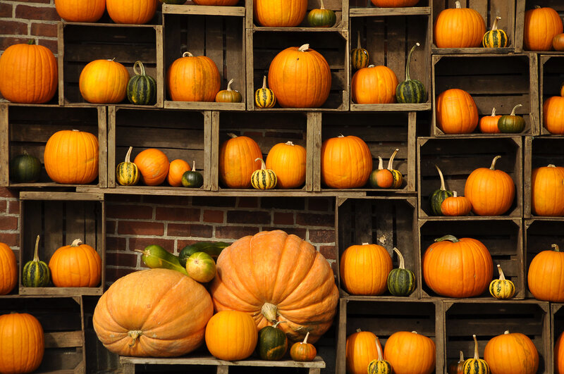 Pumpkins in Wooden Crates