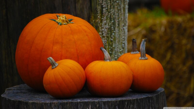 Pumpkins on a Stump