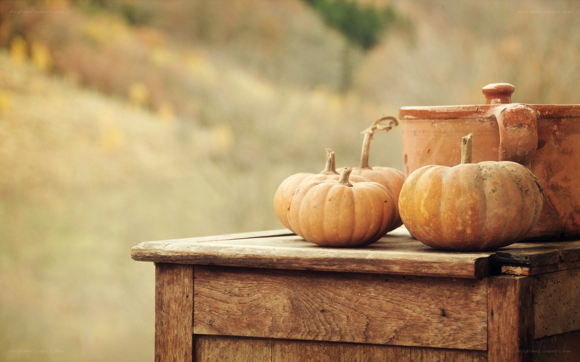 Pumpkins on a wooden table