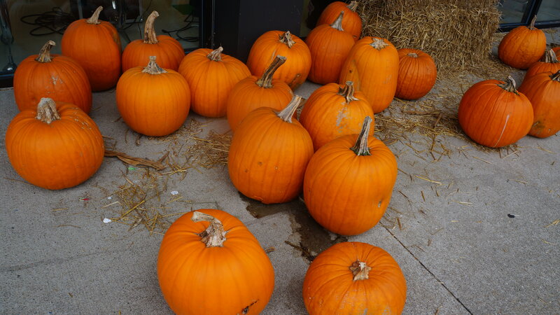 Pumpkins on Concrete