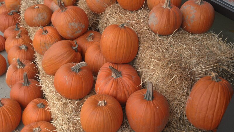 Pumpkins on Hay Bales — Orange, Autumnal, Autumn