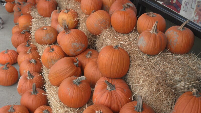 Pumpkins on Hay Bales — Orange, Autumnal