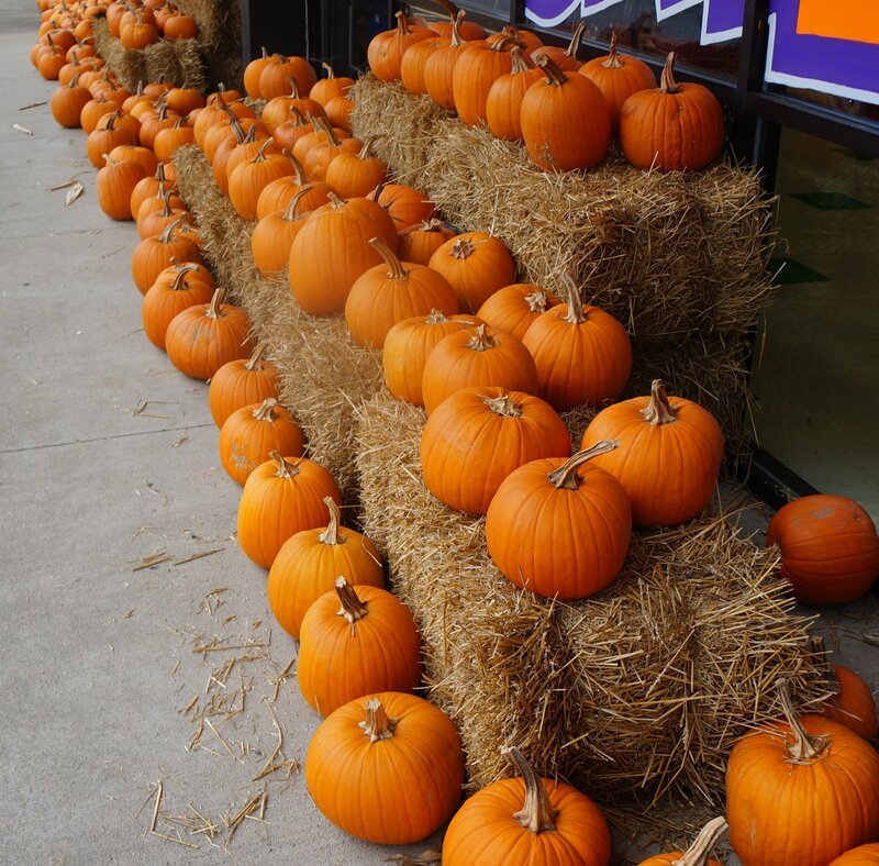 Pumpkins on Hay Bales — Orange, Festive
