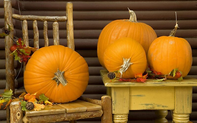 Pumpkins on rustic furniture