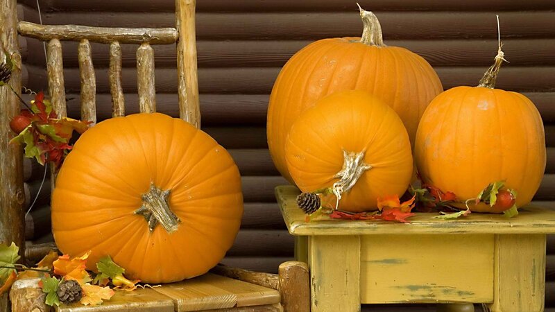 Pumpkins on rustic furniture