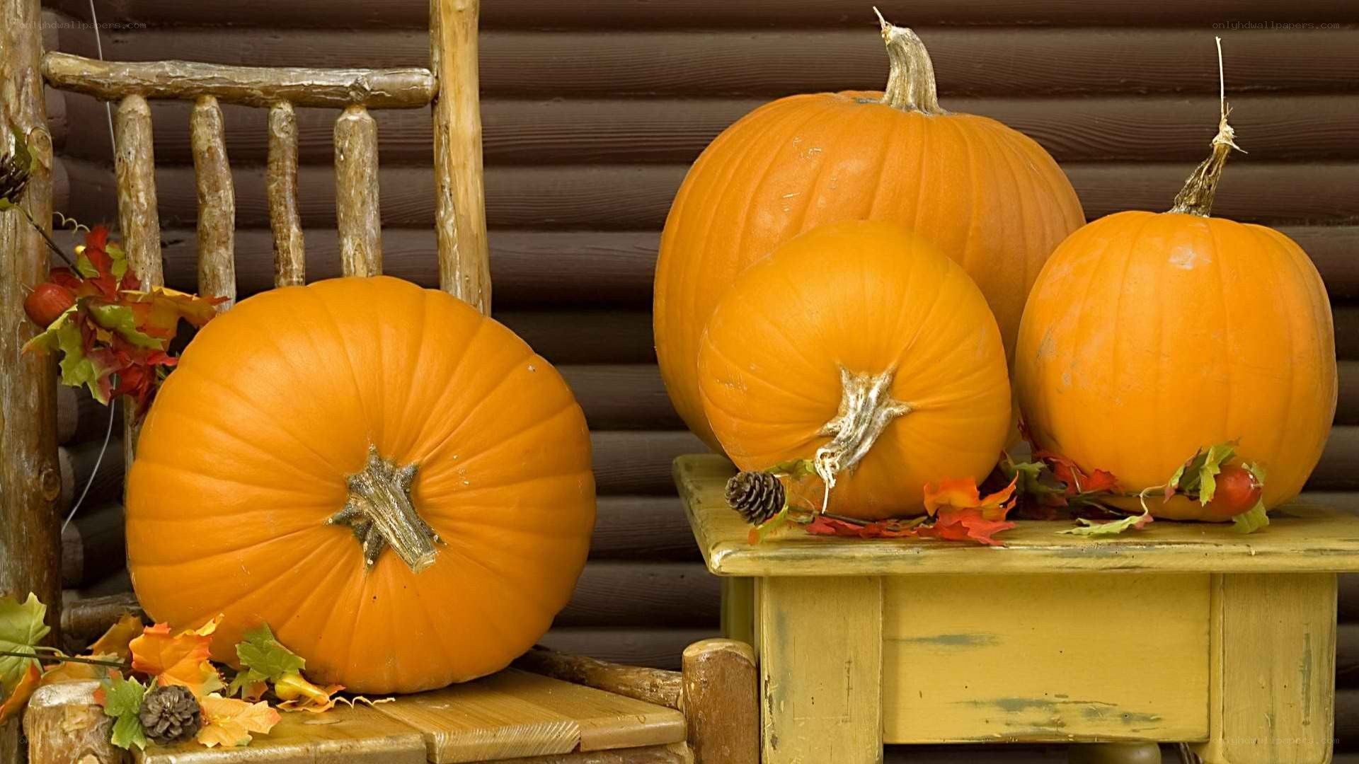 Pumpkins on rustic furniture