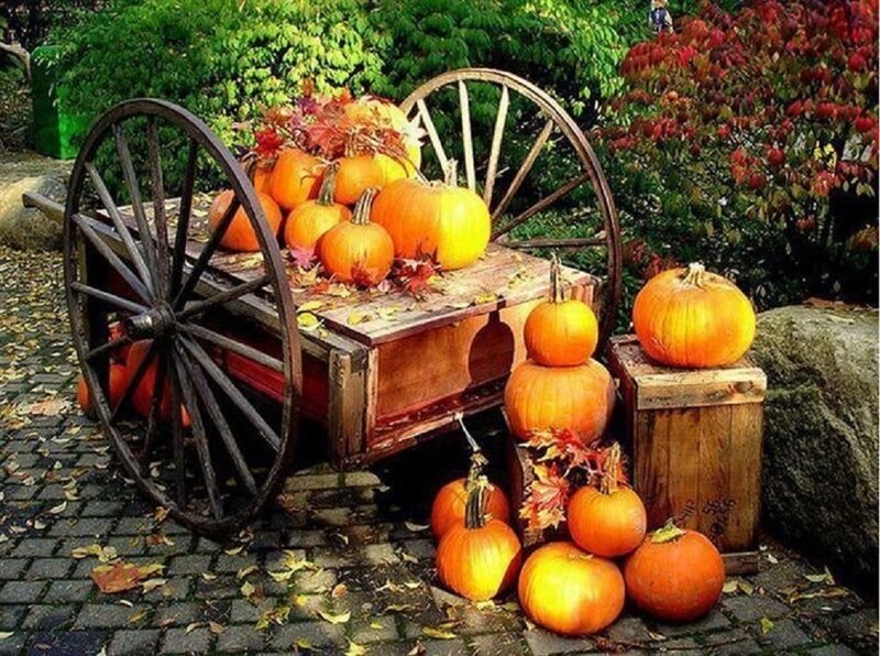 Pumpkins on Wagon