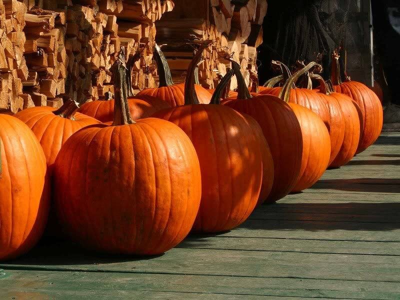 Pumpkins on Wooden Floor