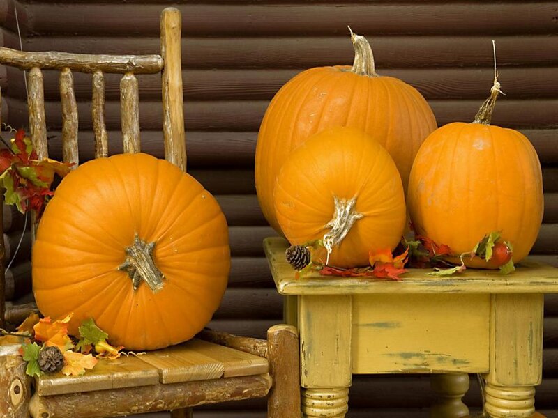 Pumpkins on Wooden Furniture