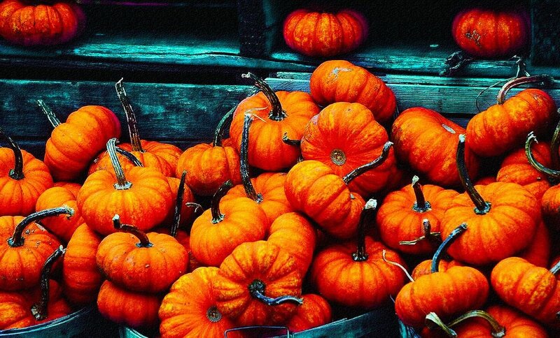 Pumpkins on Wooden Surface — Orange