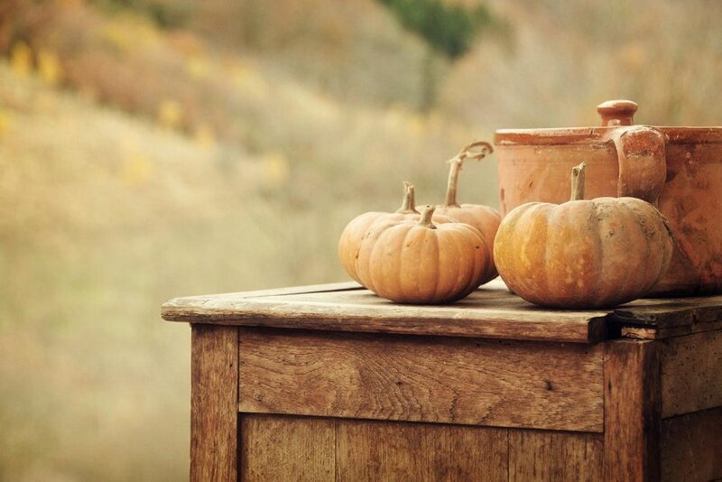 Pumpkins on Wooden Table