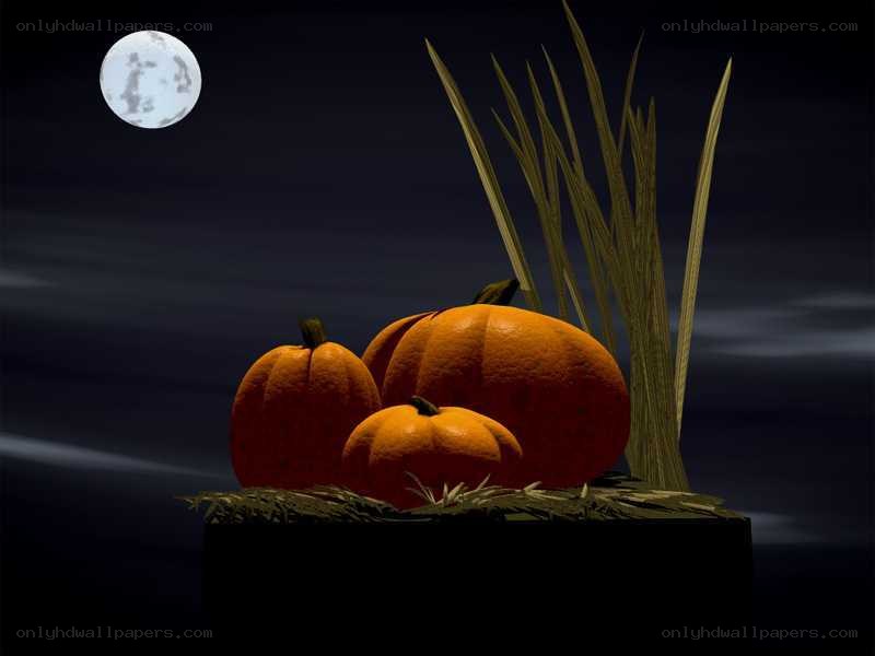 Pumpkins under a full moon