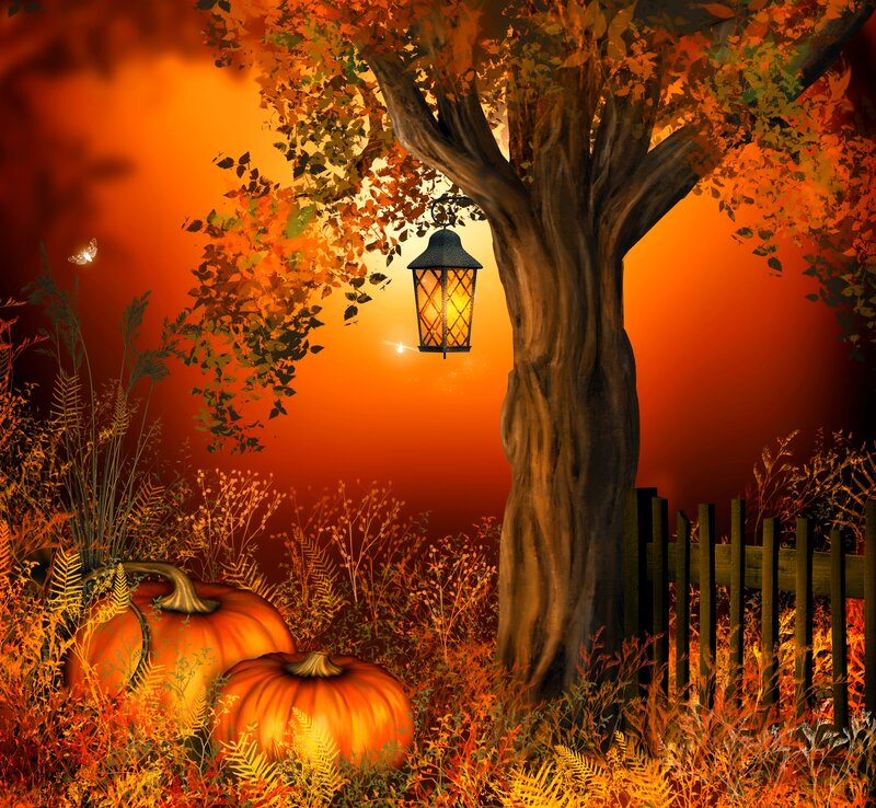 Pumpkins under Tree — Orange