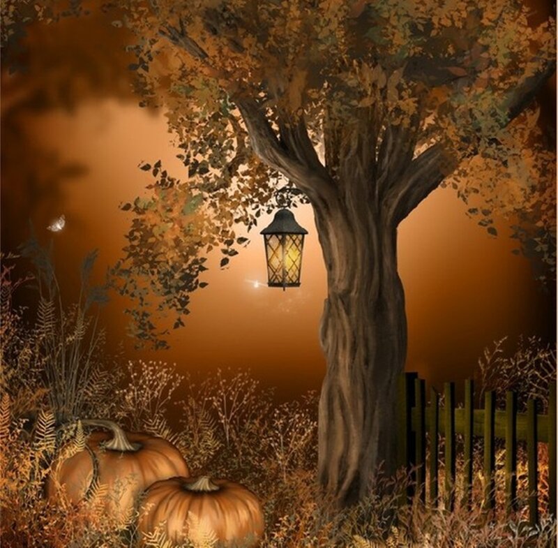 Pumpkins under Tree