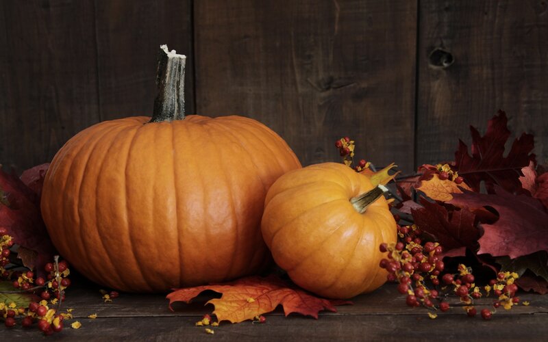 Pumpkins with Autumn Leaves — Orange