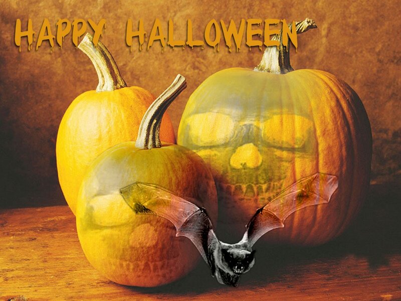 Pumpkins with Bat