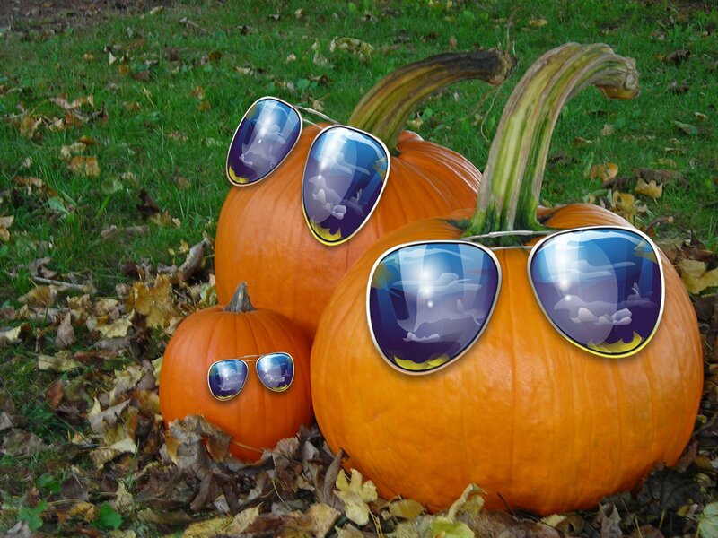 Pumpkins with Sunglasses