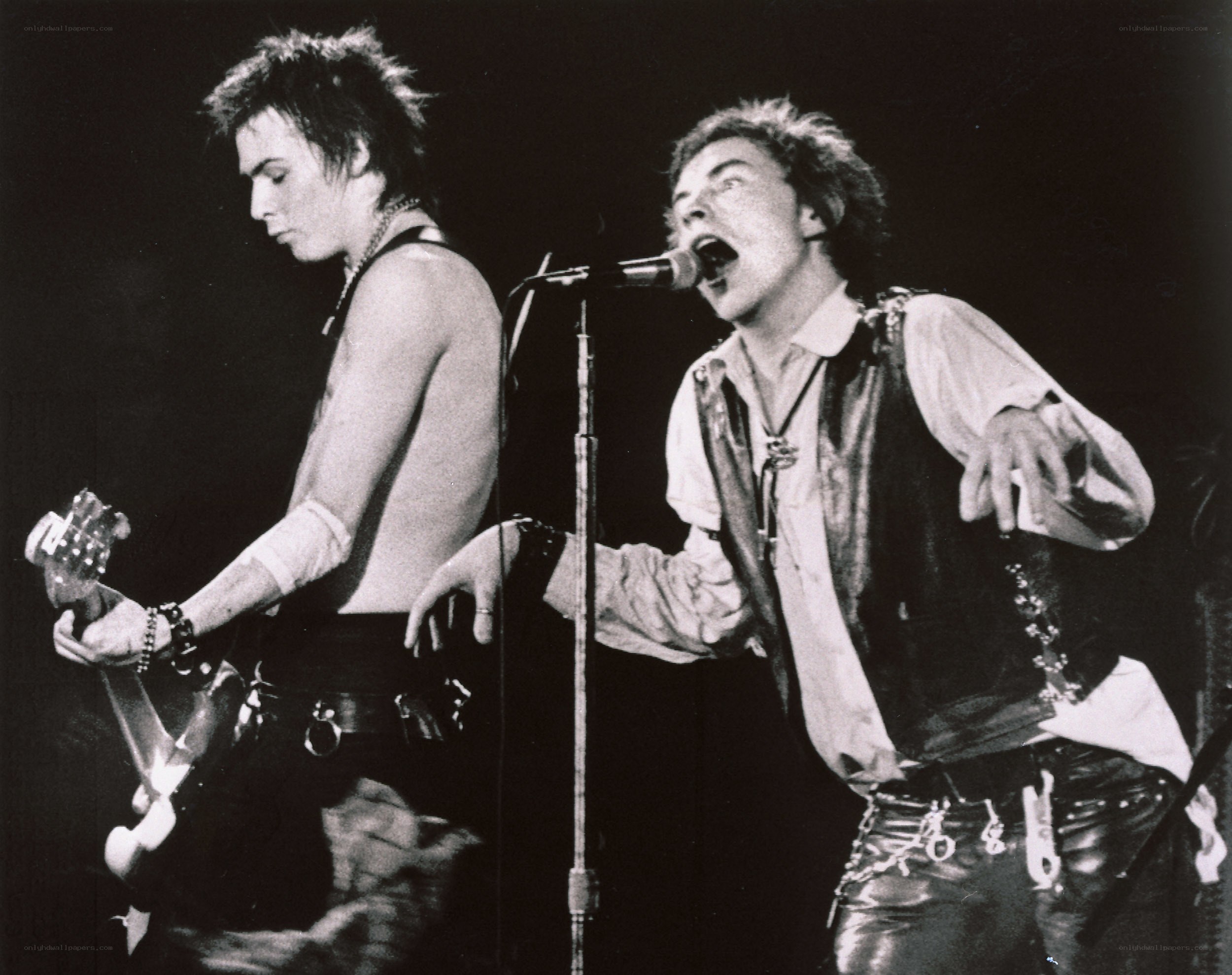 punk rock band performing live