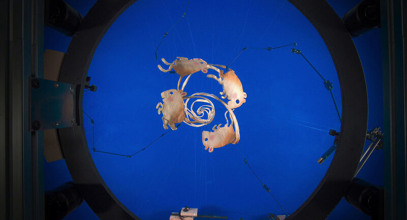Puppet mice in a circular rig