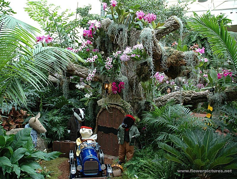 Puppets in Garden Display