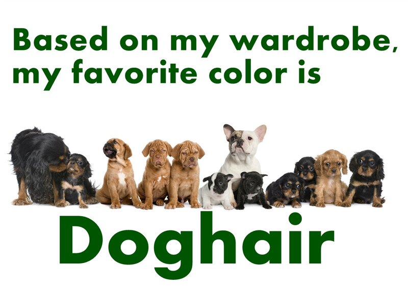 Puppies and Adult Dog