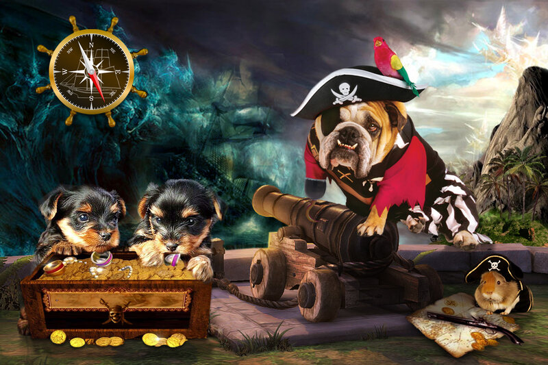 Puppies and Bulldog Pirates