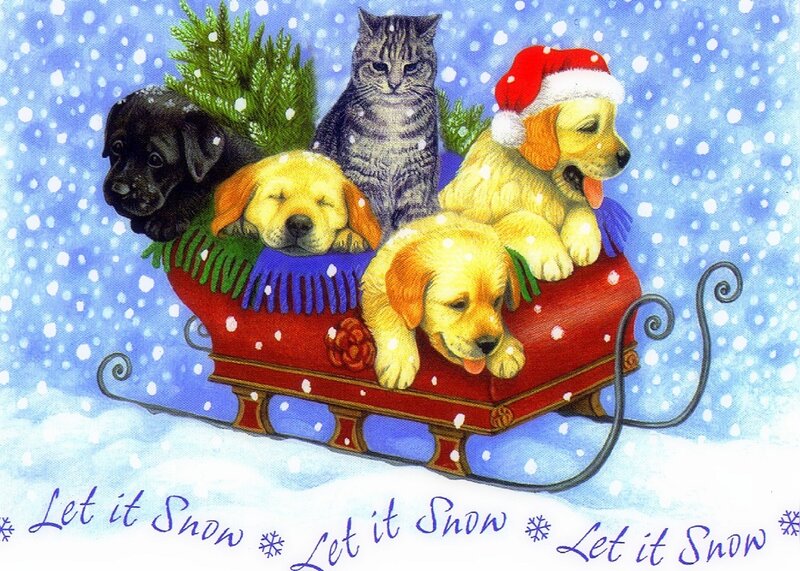 Puppies and Cat in Sleigh — Blue