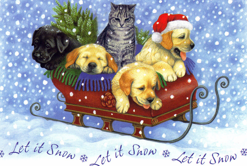 Puppies and Cat in Sleigh