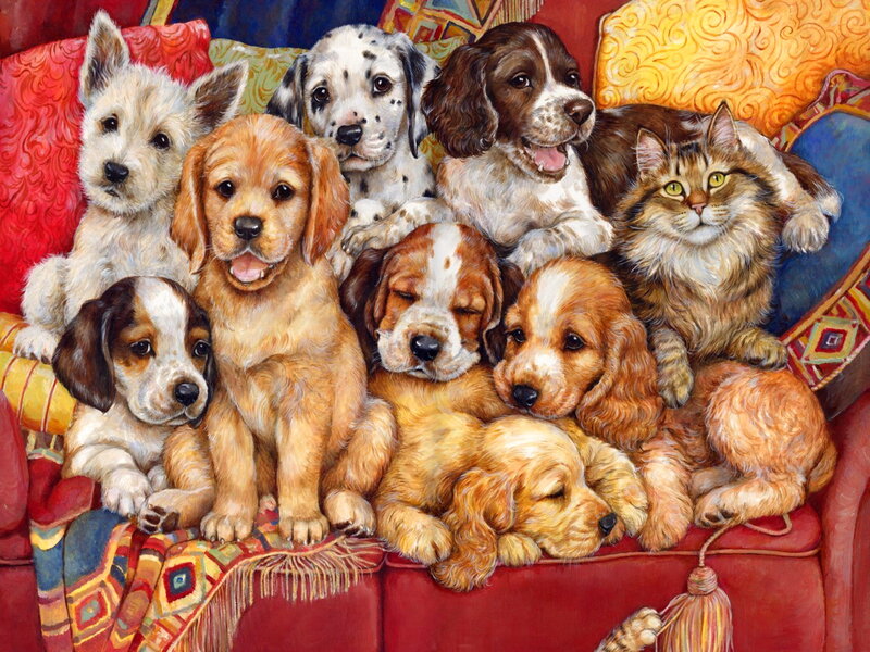 Puppies and Cat on Couch — Red