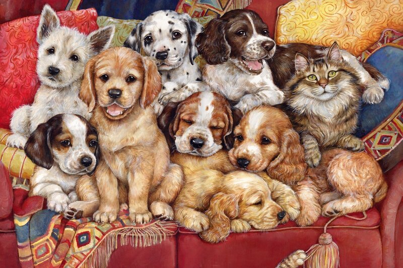 Puppies and Cat on Couch