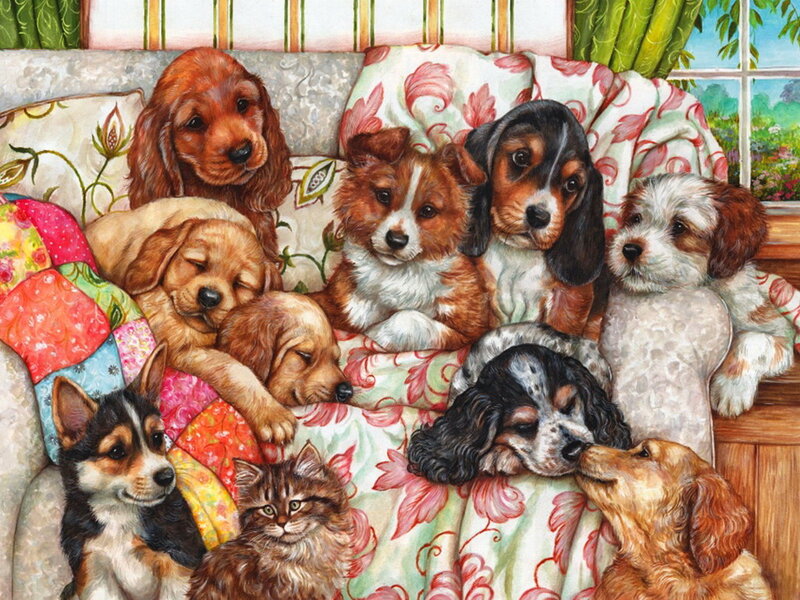 Puppies and Cat on Couch — White