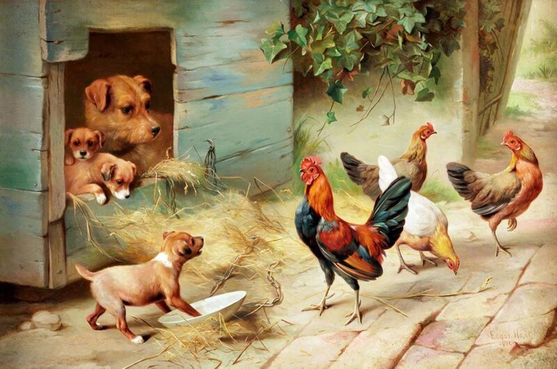 Puppies and Chickens