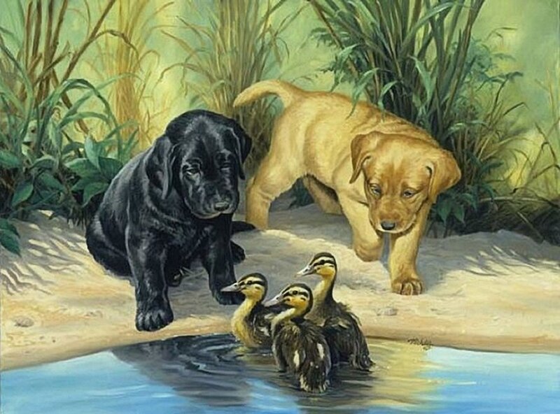 Puppies and Ducklings — Green