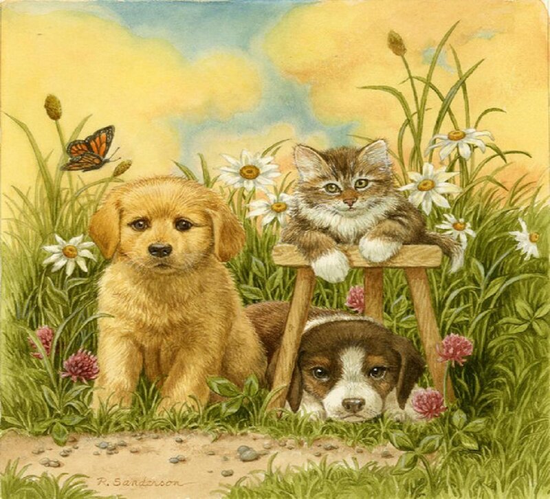 Puppies and Kitten in Field — Green