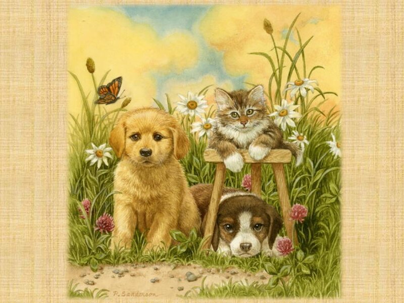 Puppies and Kitten in Field