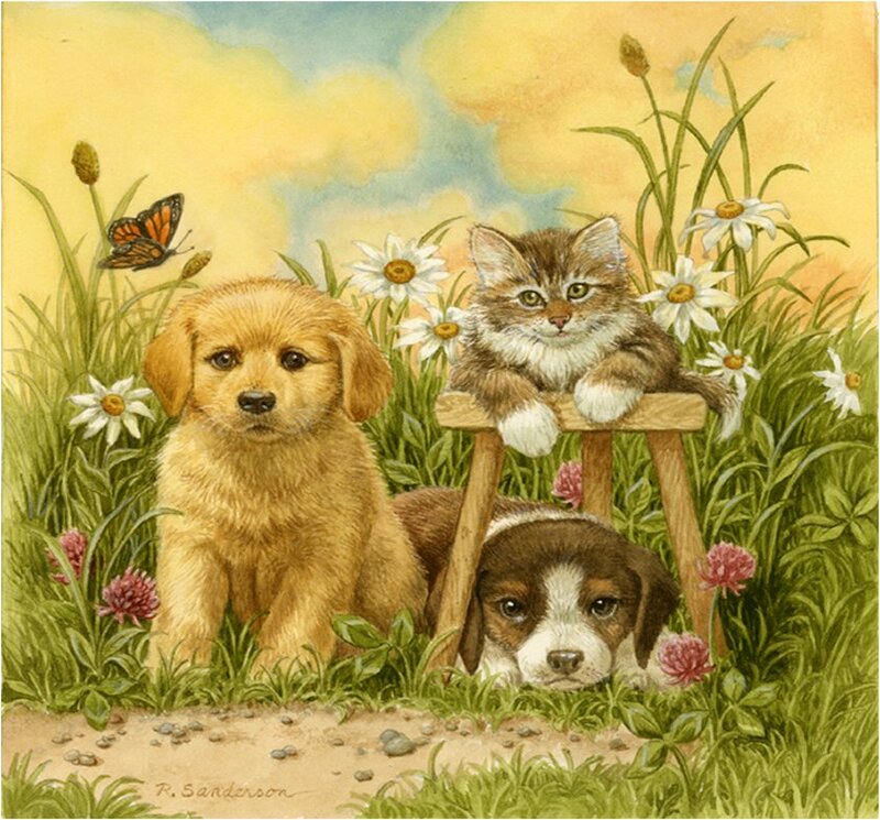 Puppies and Kitten in Field — Yellow