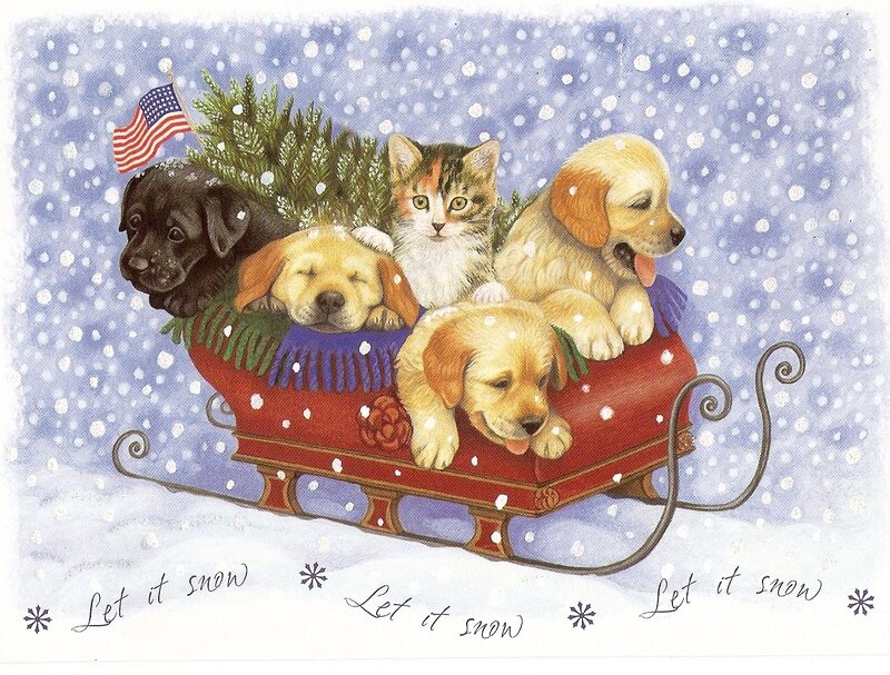 Puppies and Kitten in Sleigh