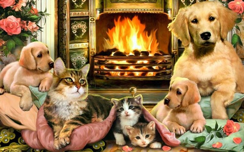 Puppies and Kittens by Fireplace — Gold