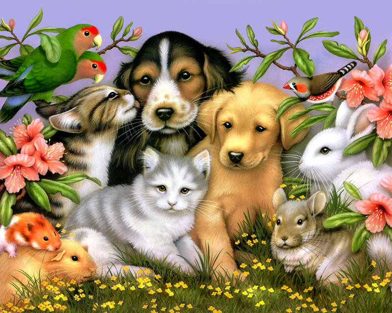 Puppies and Kittens in Garden — Green, Peaceful
