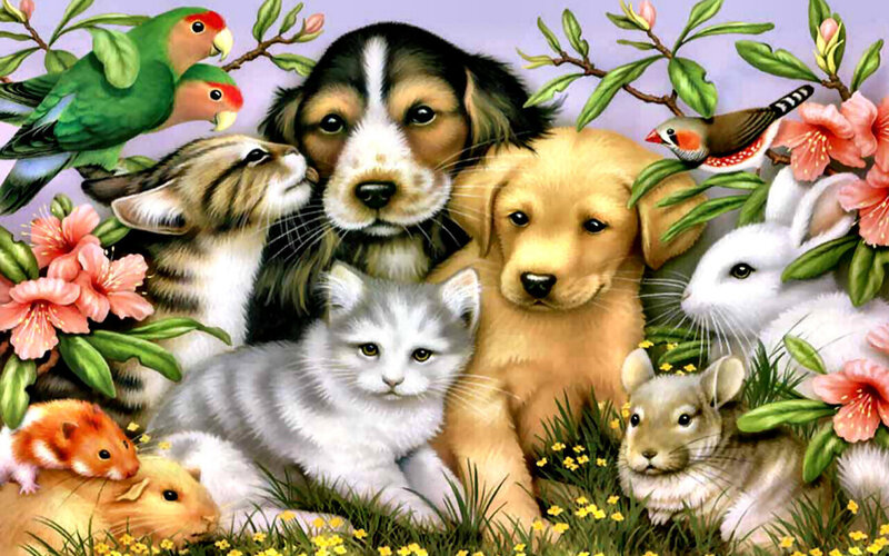 Puppies and Kittens in Garden — Green