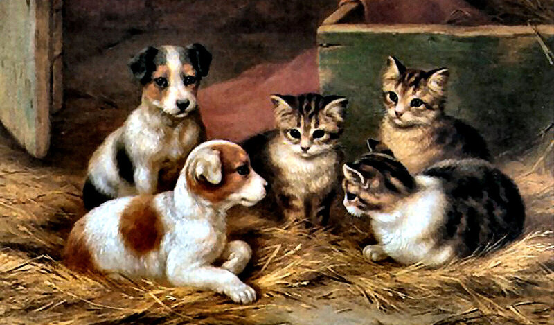 Puppies and Kittens in Hay