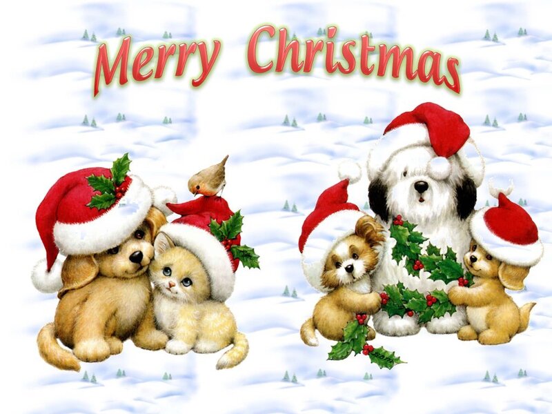 Puppies and Kittens in Snow