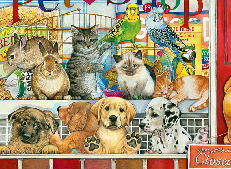 Puppies and Kittens in Window