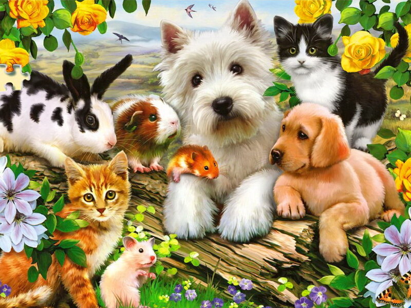 Puppies and Kittens on Log — White