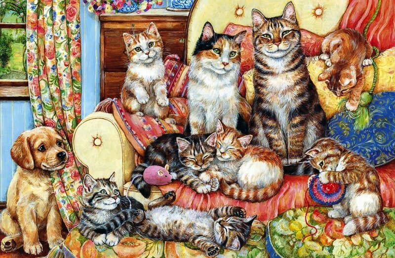 Puppies and Kittens on Sofa