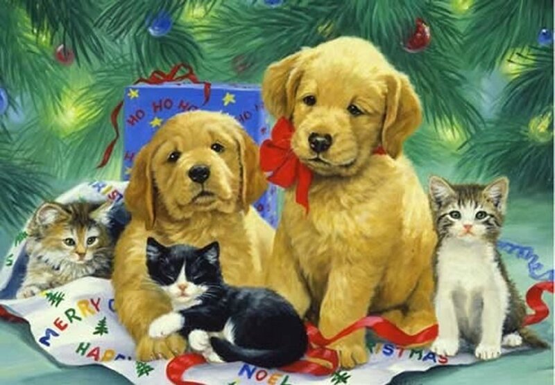 Puppies and Kittens under Tree
