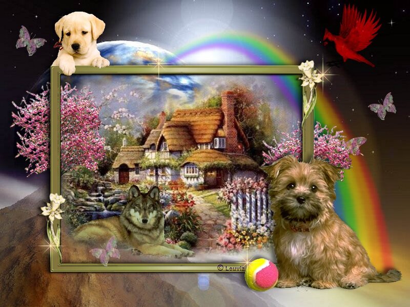 Puppies and Wolf in Garden