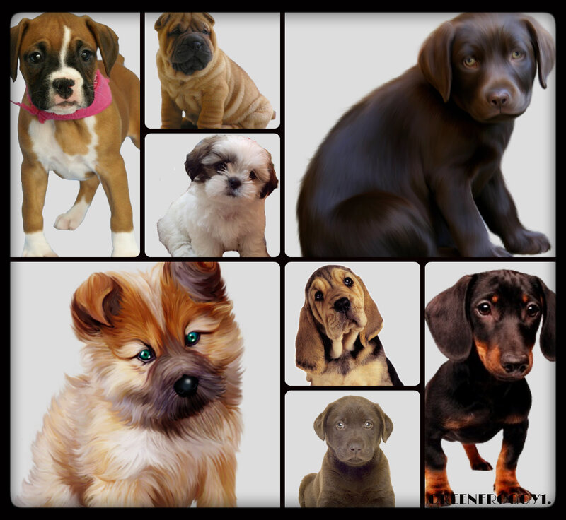 Puppies Collage — Brown