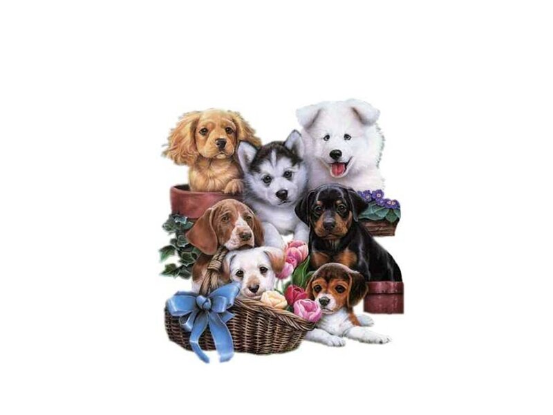 Puppies in a Basket — White