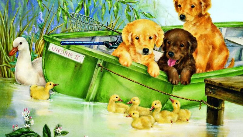 Puppies in a Boat